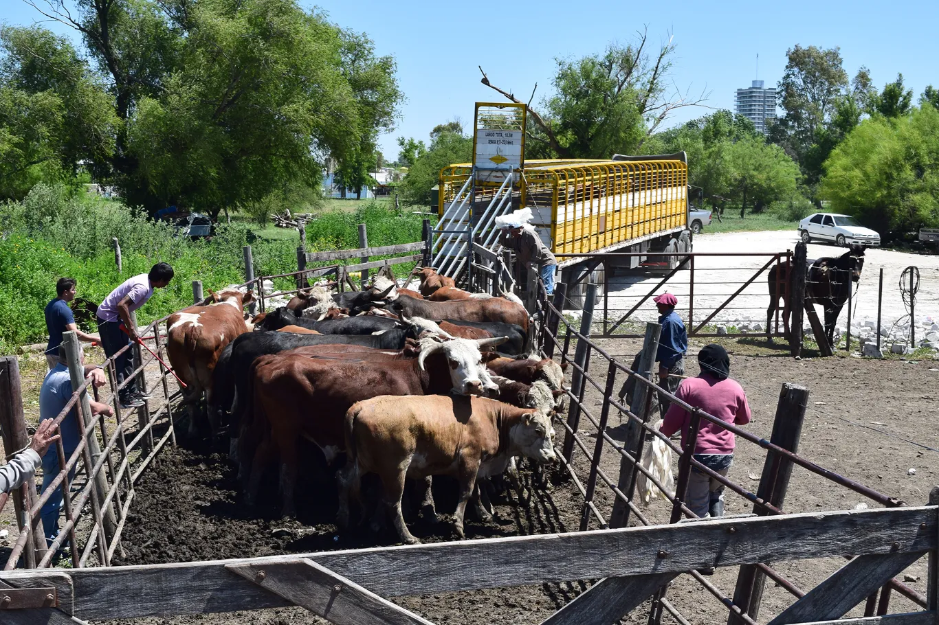 A un año de vigencia, se emitieron 160.000 Documentos Únicos de Tránsito al transportar más de 7,8 m