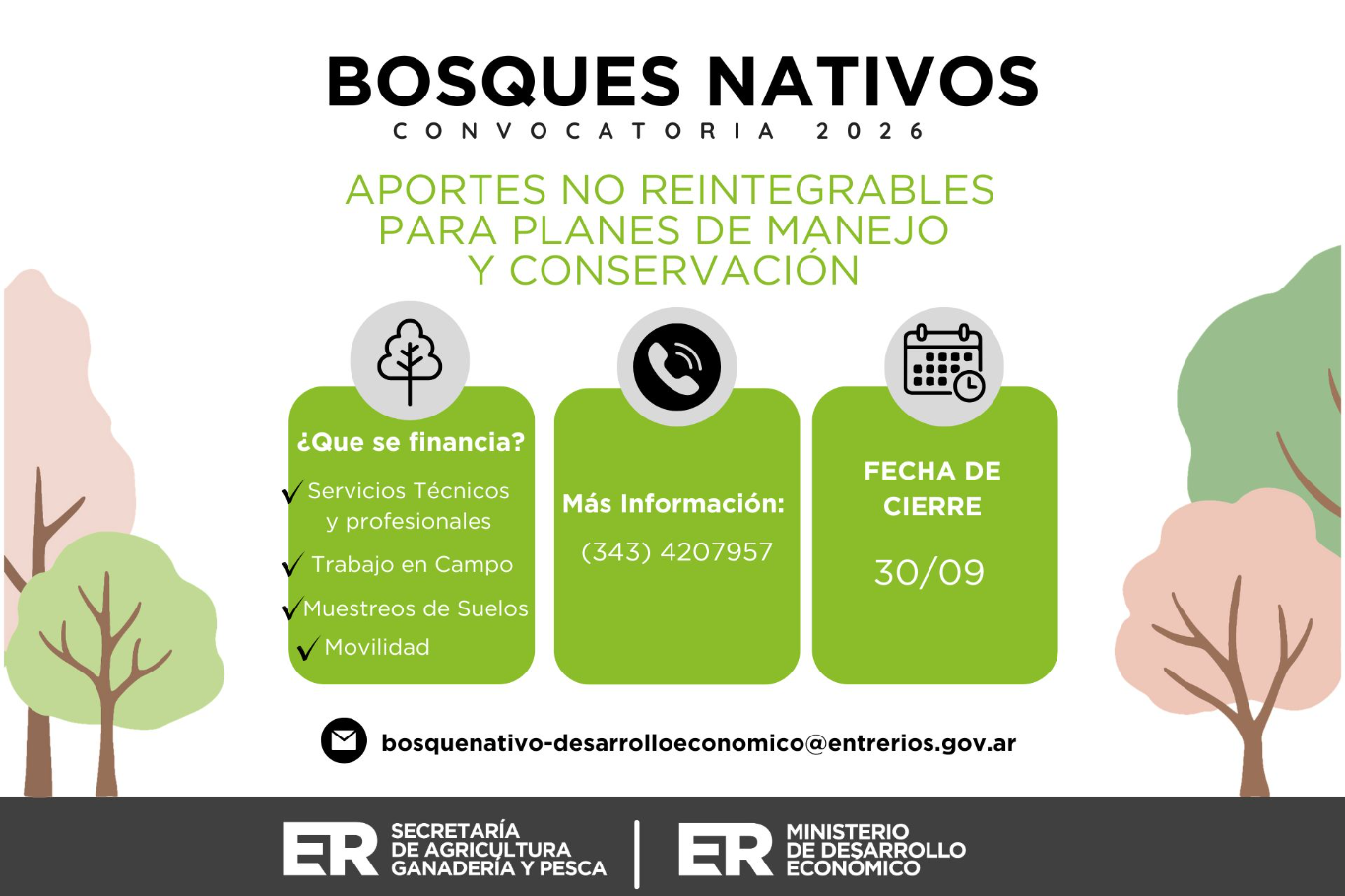 Convocatoria abierta para financiar proyectos de manejo y conservación del bosque nativo