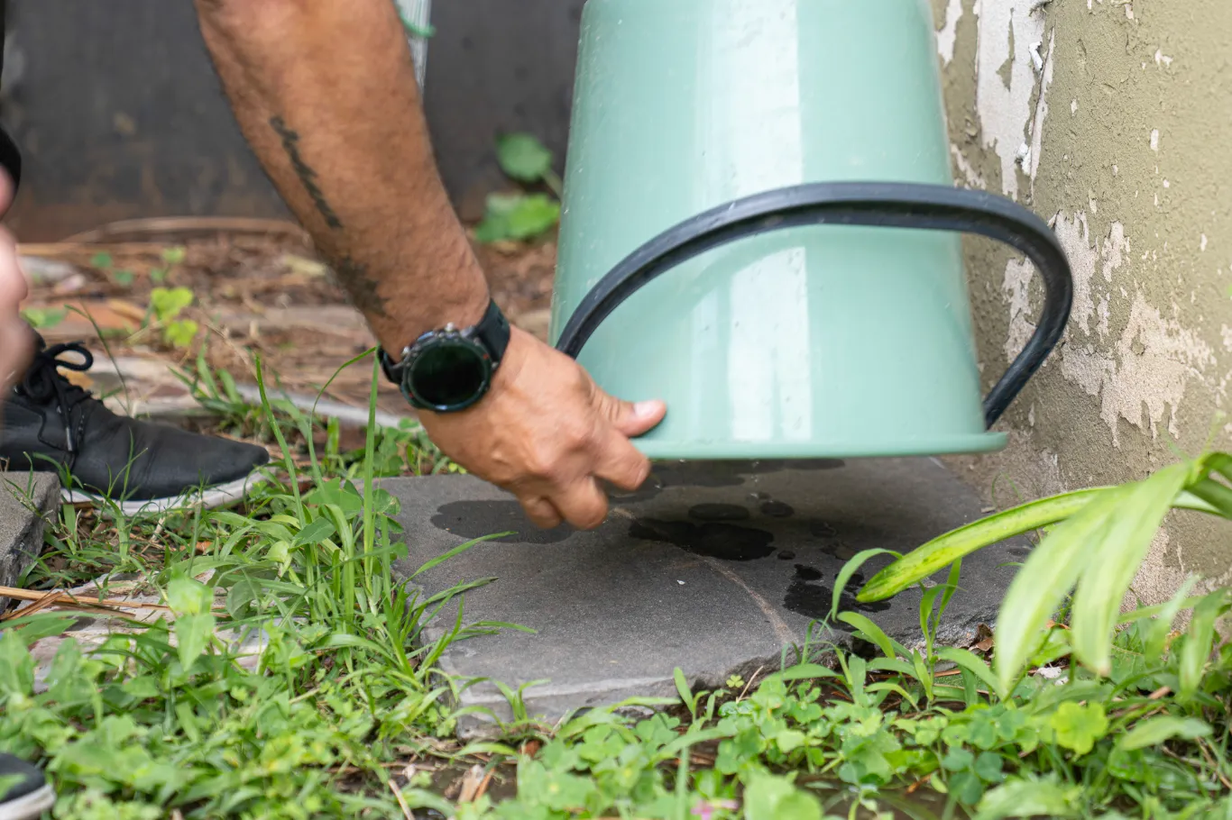 Salud recuerda la importancia de sostener el descacharrizado para prevenir el dengue