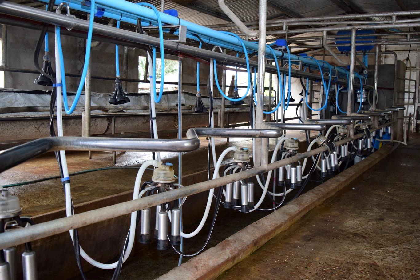 En Expoagro, la provincia anunció créditos con tasa bonificada a productores y pymes