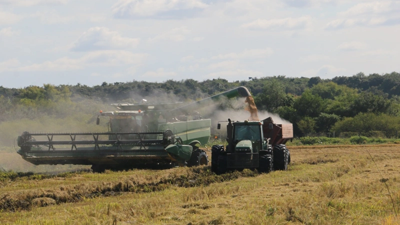 La Filial San Salvador de FAA alerta sobre la crítica situación del sector arrocero