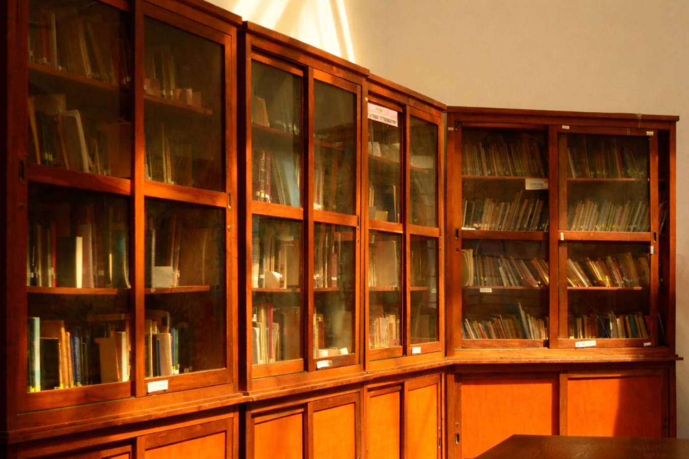 La Biblioteca Provincial destaca avances en la identificación de autores entrerrianos en el catálogo