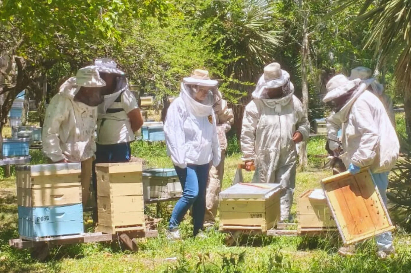 Jóvenes y adultos de la provincia se capacitan en apicultura