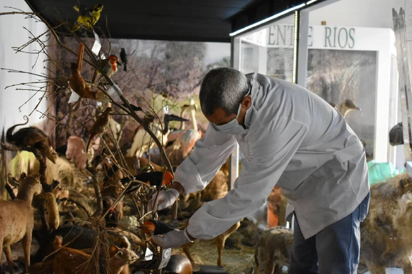 El Museo Serrano permanecerá cerrado al público por tareas de conservación preventiva de sus colecci