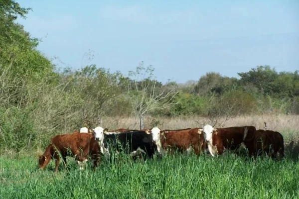 El Gobierno de Entre Ríos recuperó 124.000 hectáreas de tierras fiscales y generó nuevos ingresos para la provincia