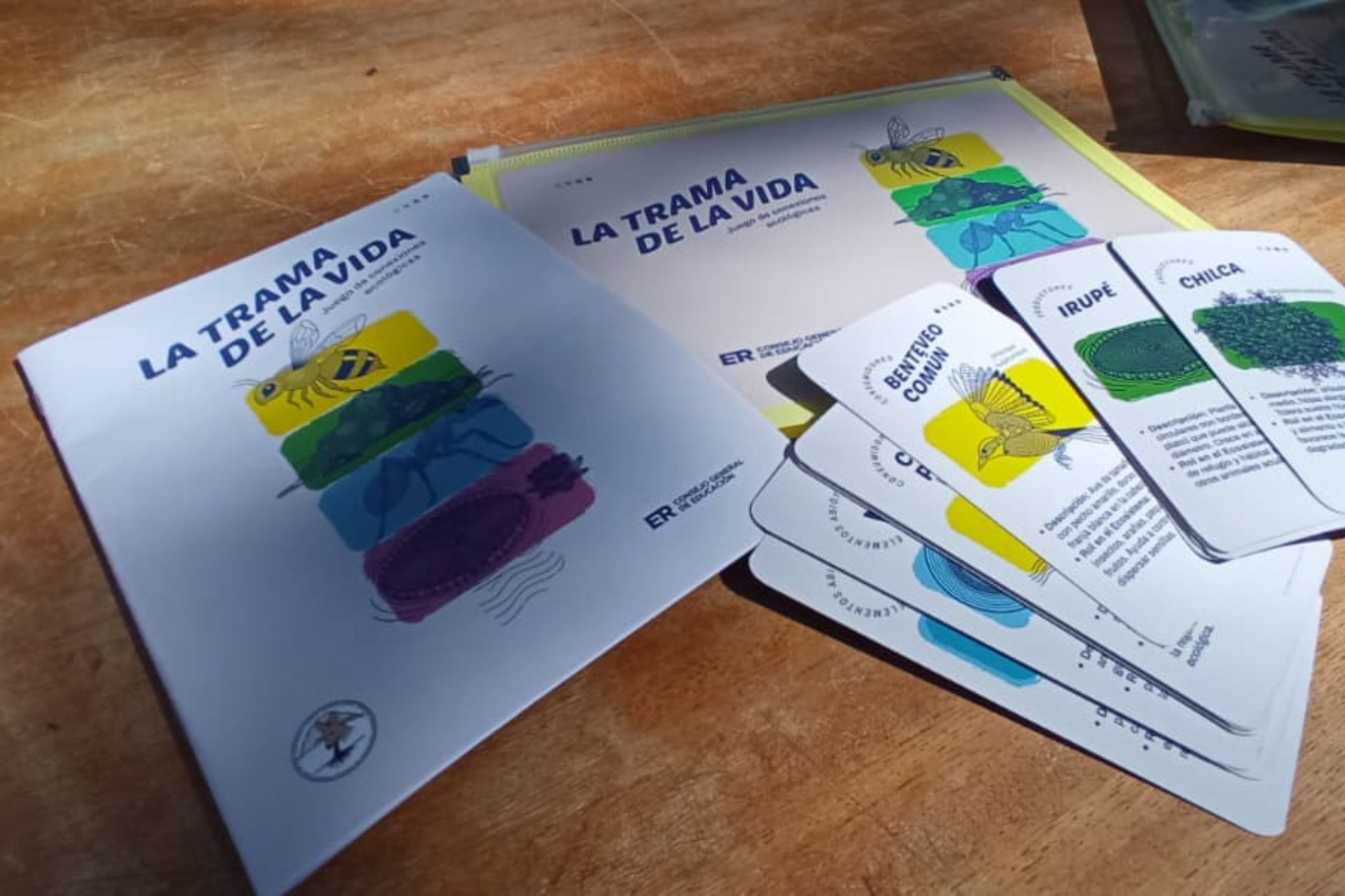 El CGE entregó materiales lúdicos sobre ambiente en escuelas entrerrianas